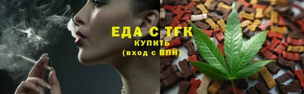 твердый Козельск