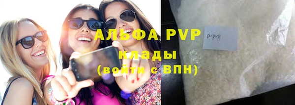 твердый Козельск