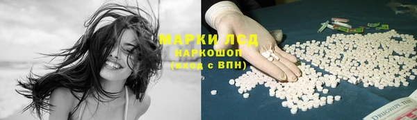 твердый Козельск