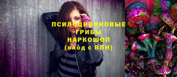 твердый Козельск
