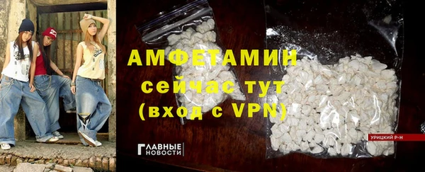 твердый Козельск